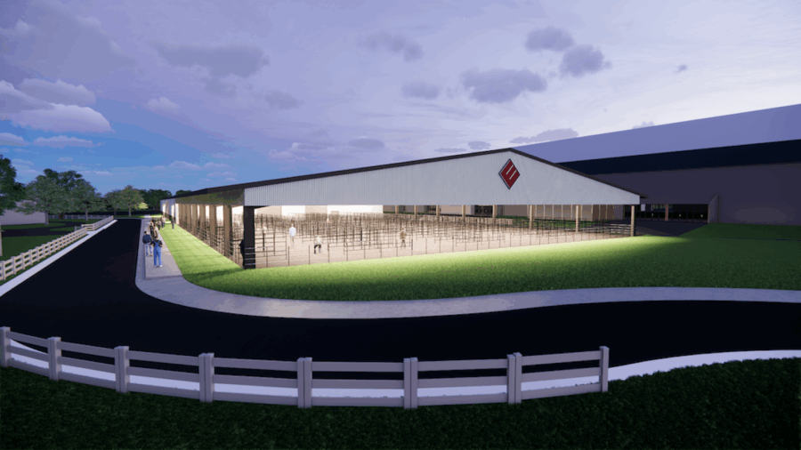 Enscape 3D View