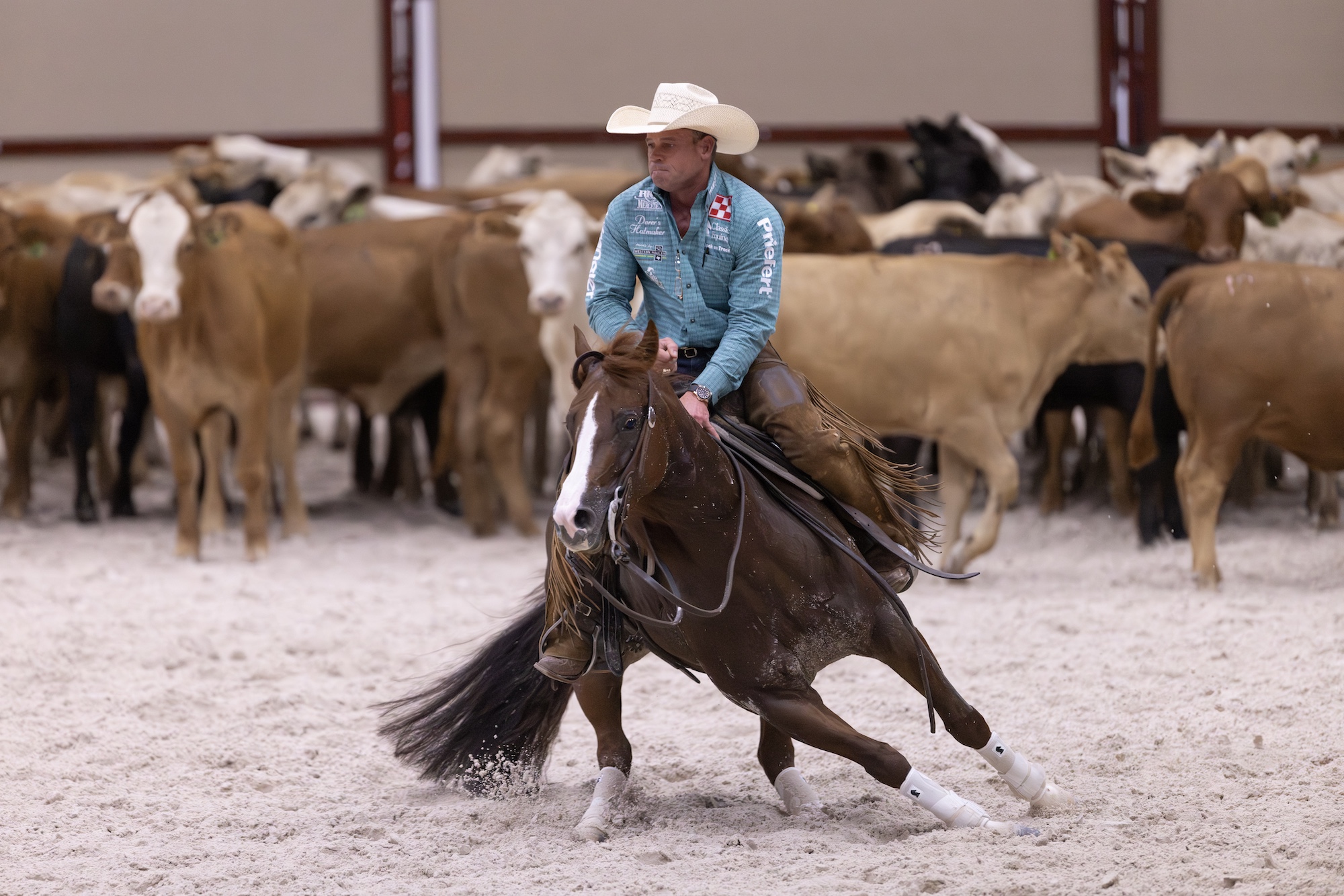 Man riding a cutting horse
