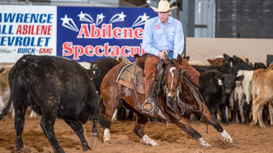 Man riding a cutting horse