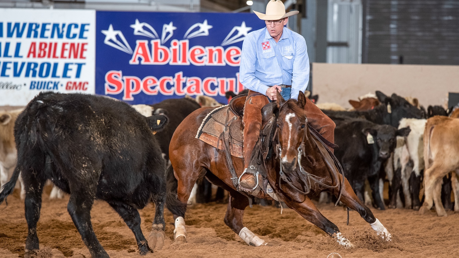Man riding a cutting horse