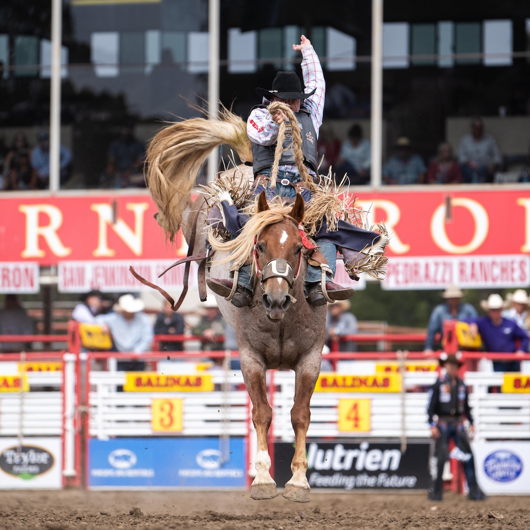 Man riding a bucking bronc