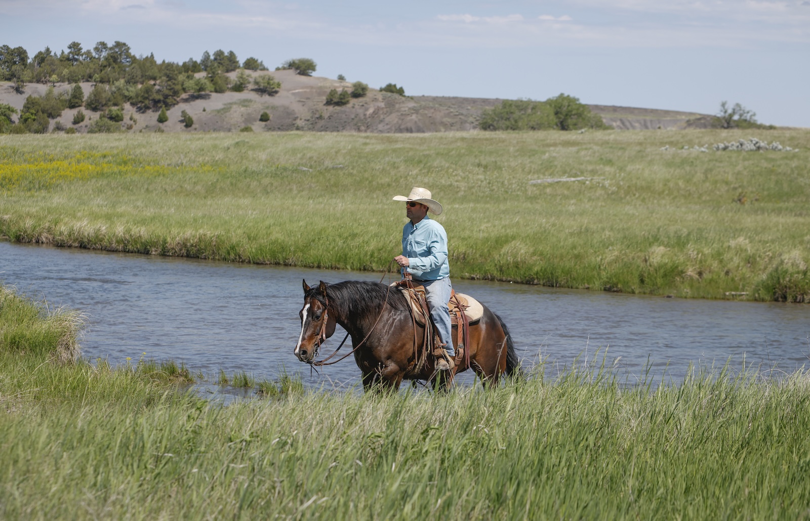 To move cattle, Levi Dacar was mounted on Pay The Hitchhiker, a gelding sired by Irish Pay, and the subject of another stop on our trip.