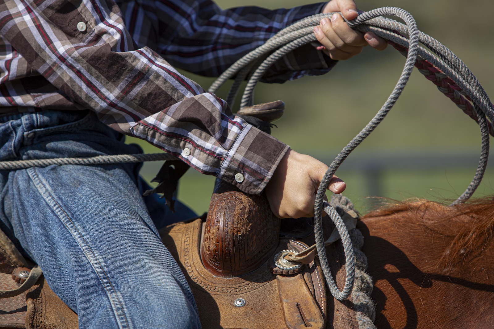 Several young riders and calf muggers worked the Mackabben branding, learning the ropes for coming years.