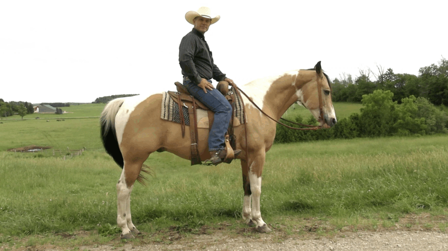 Jason Irwin horseback explaining how to open & close gates that swing toward you