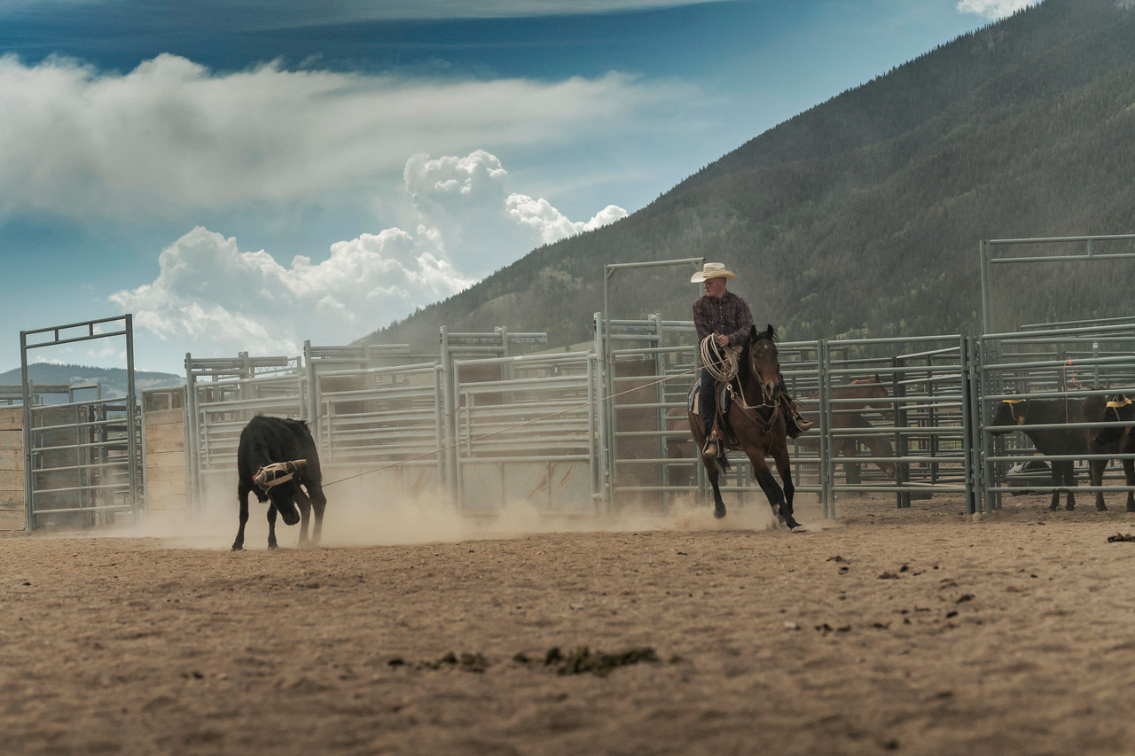 Tripp and “Betty” put a handle on a steer during the Open Roping at the 2021 Outside Circle Ranch Roping. Photograph by Colin MacMillan.