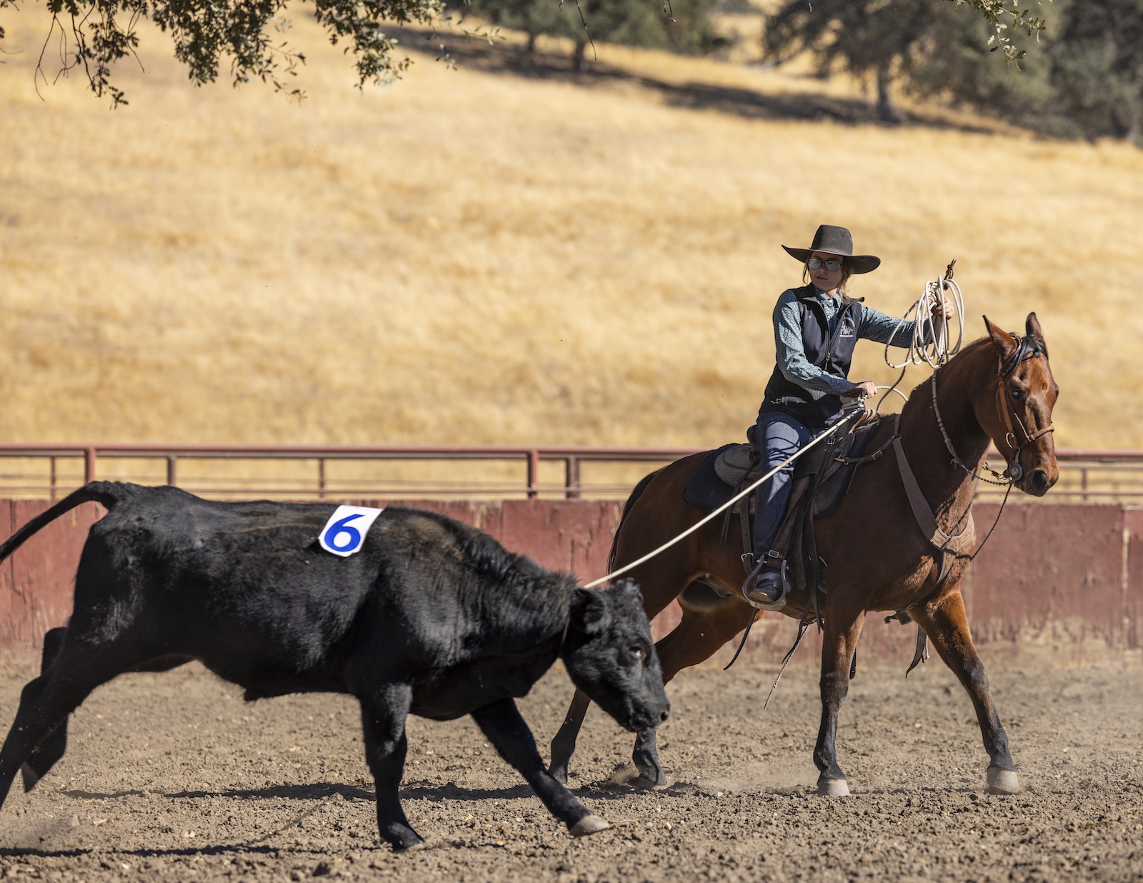 Emme Randall competing horseback at the Early Californios Skills of the Rancho, Parkfield, California