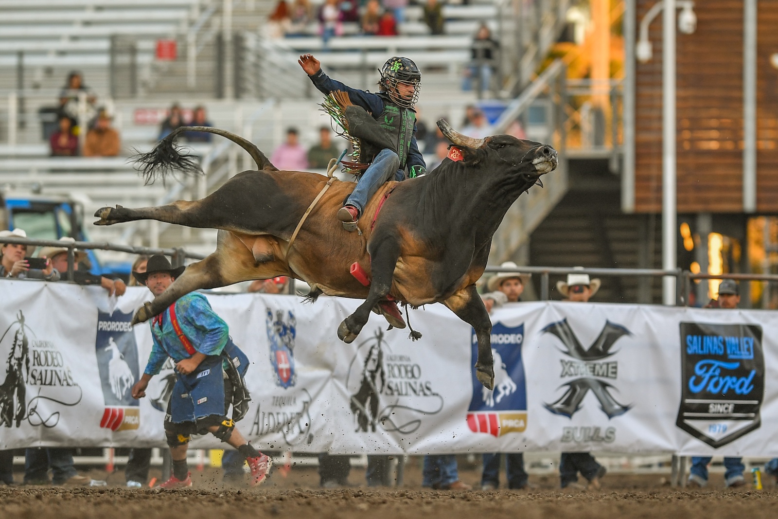 Josh Frost on 202 Tin Horn
