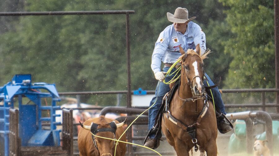 The crucial moment in any roping run is throwing the loop. Crawford says good horsemanship prepares the horse to rate the steer, not duck off and set up an easy catch for the roper.