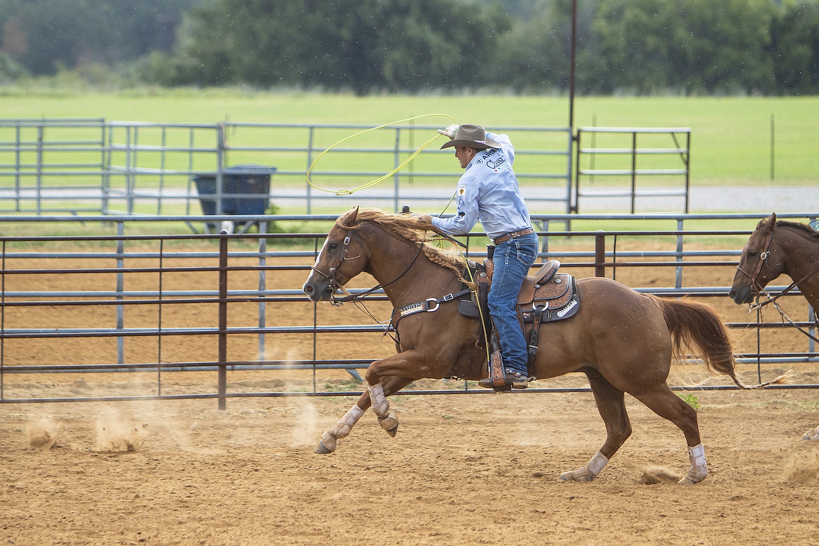 With good horsemanship, a roper can ride forward to run down a steer and then draw the horse down and rate the steer by sinking into the saddle. Crawford says too many ropers allow the horse to run past the steer, making it harder to catch.