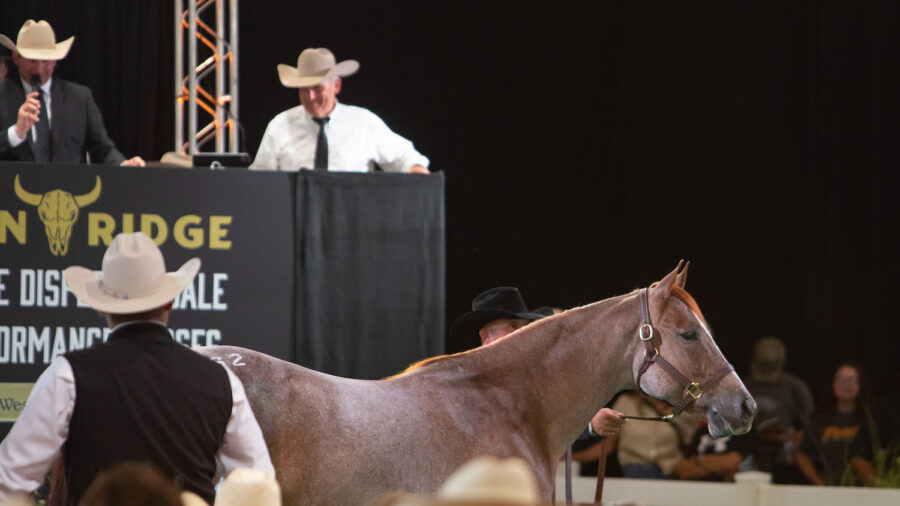 teton ridge dispersal sale