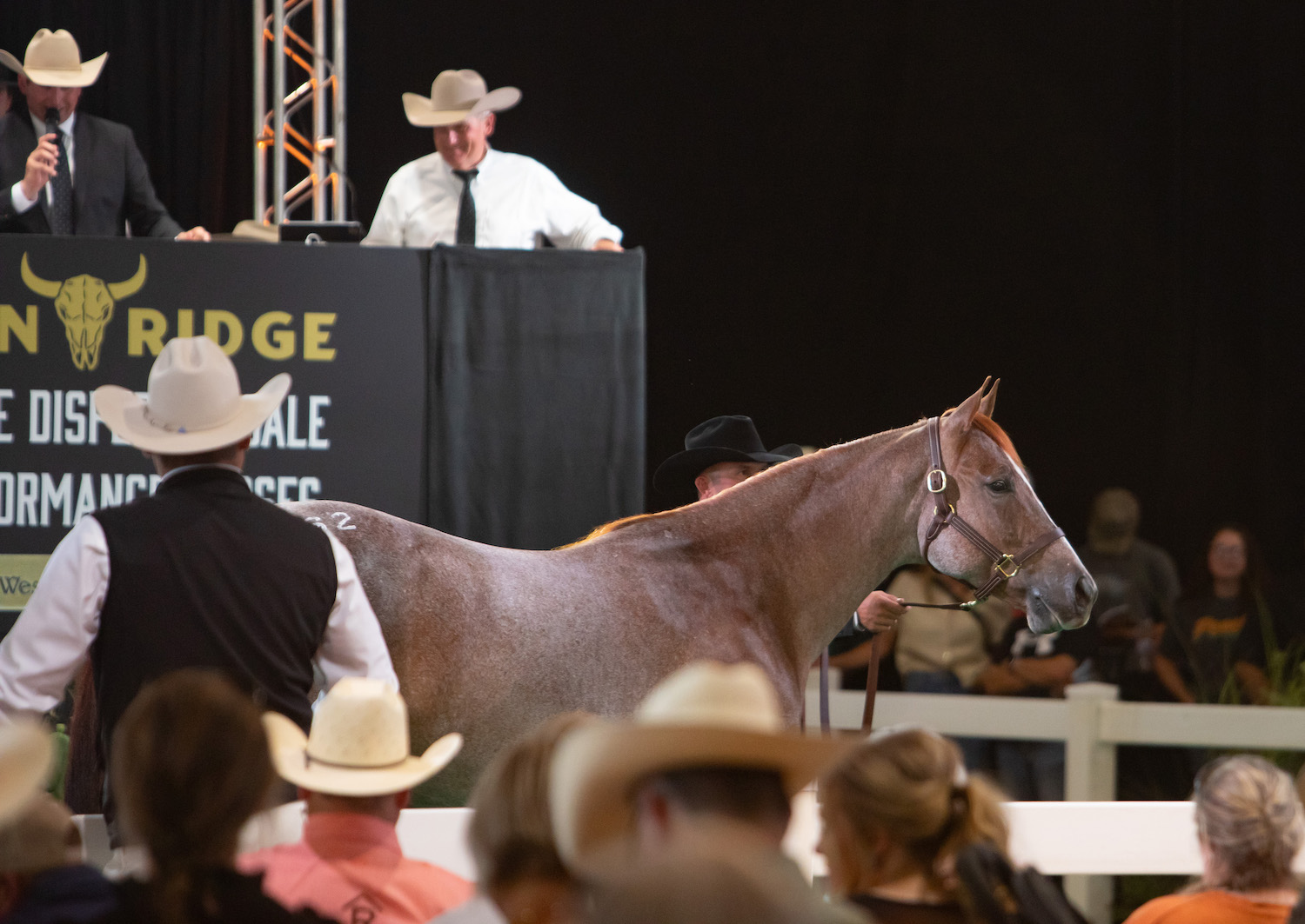teton ridge dispersal sale