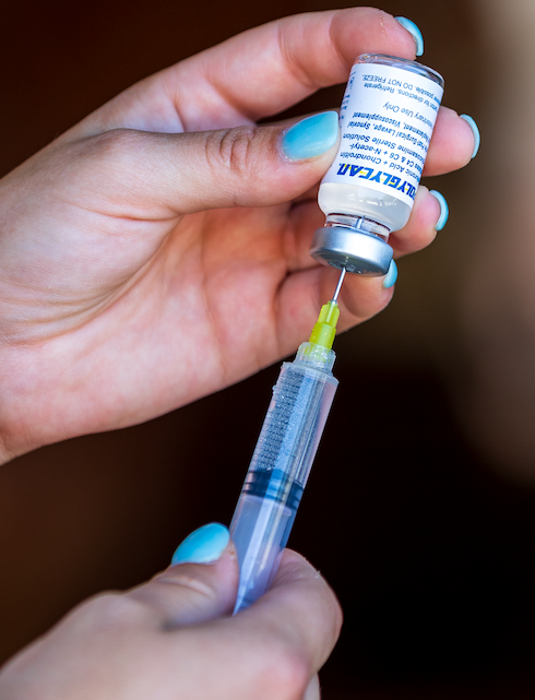Polyglycan 10mL from Bimeda