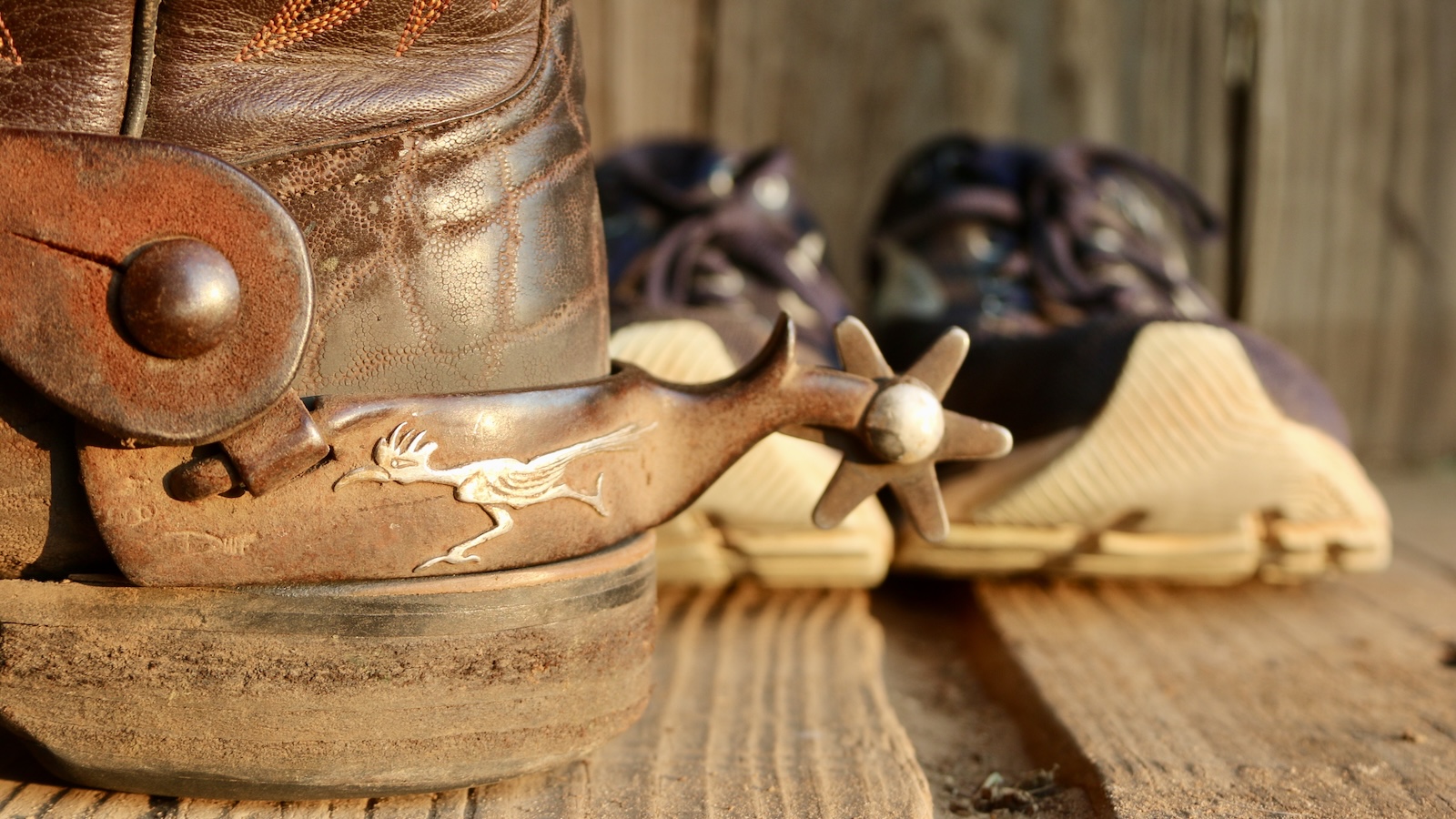 cowboy boots with spurs engraved with a roadrunner