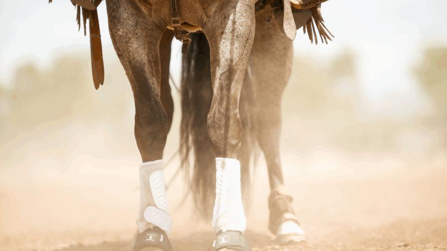 Classic Equine boots