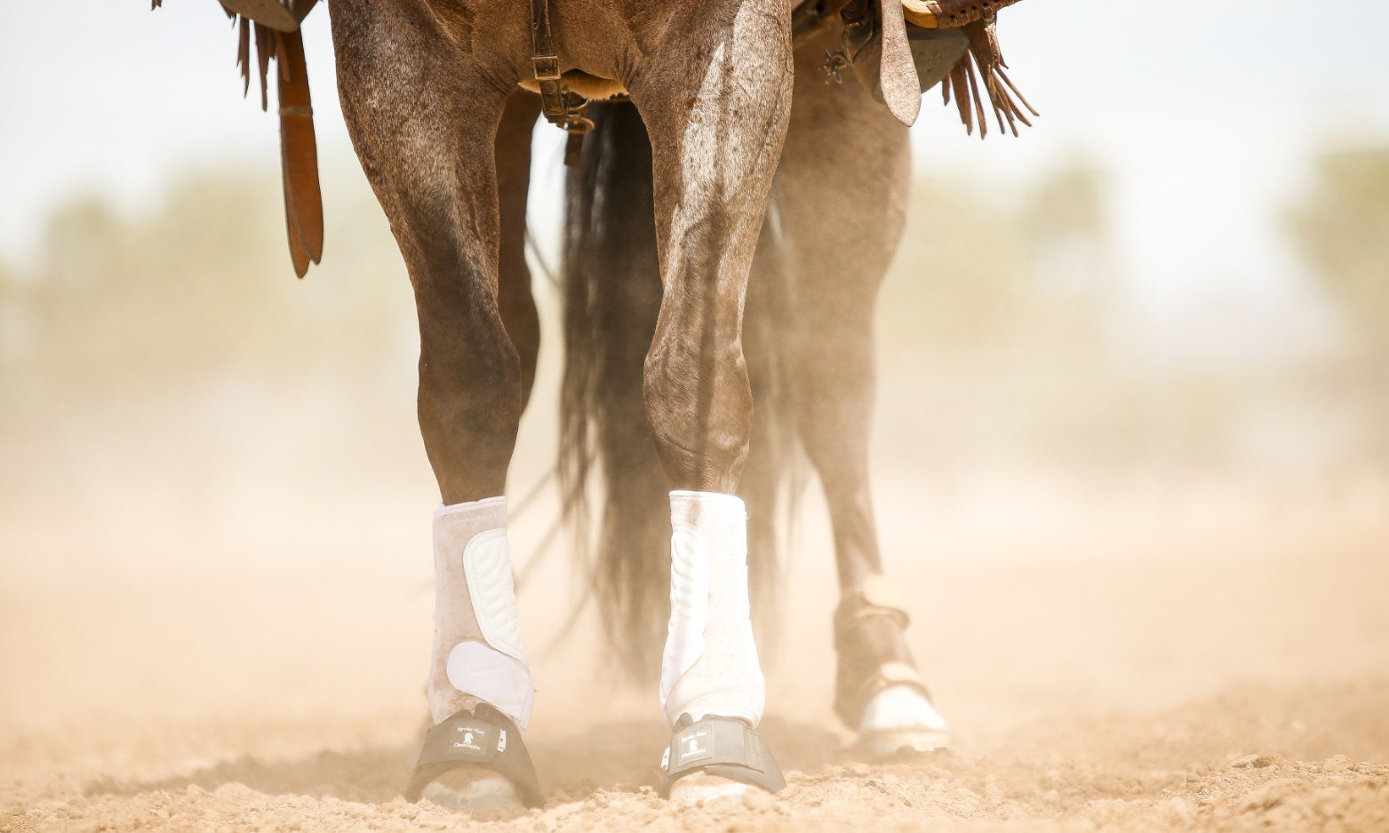 Classic Equine boots