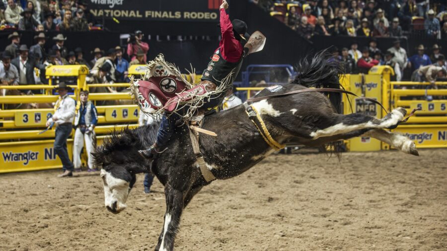 nfr bareback rider