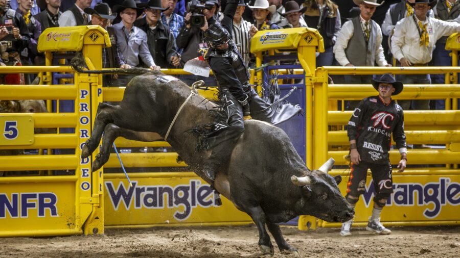 2024 nfr bull rider