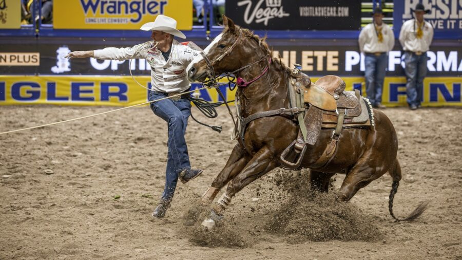 2024 Wrangler NFR Tie-down Ropers