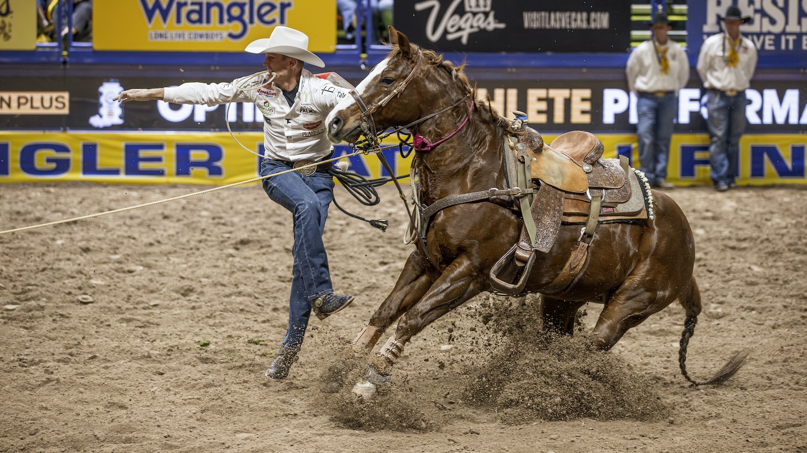 2024 Wrangler NFR Tie-down Ropers