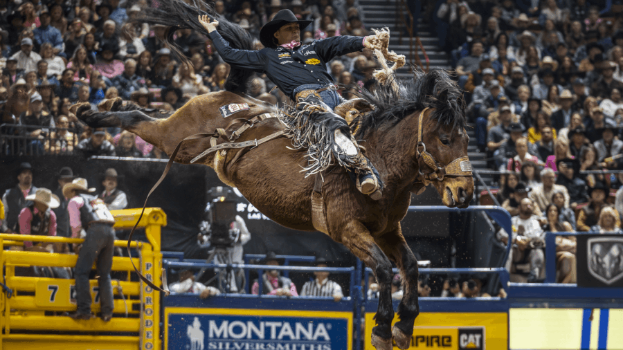 Brody Wells 2024 NFR saddle bronc rider