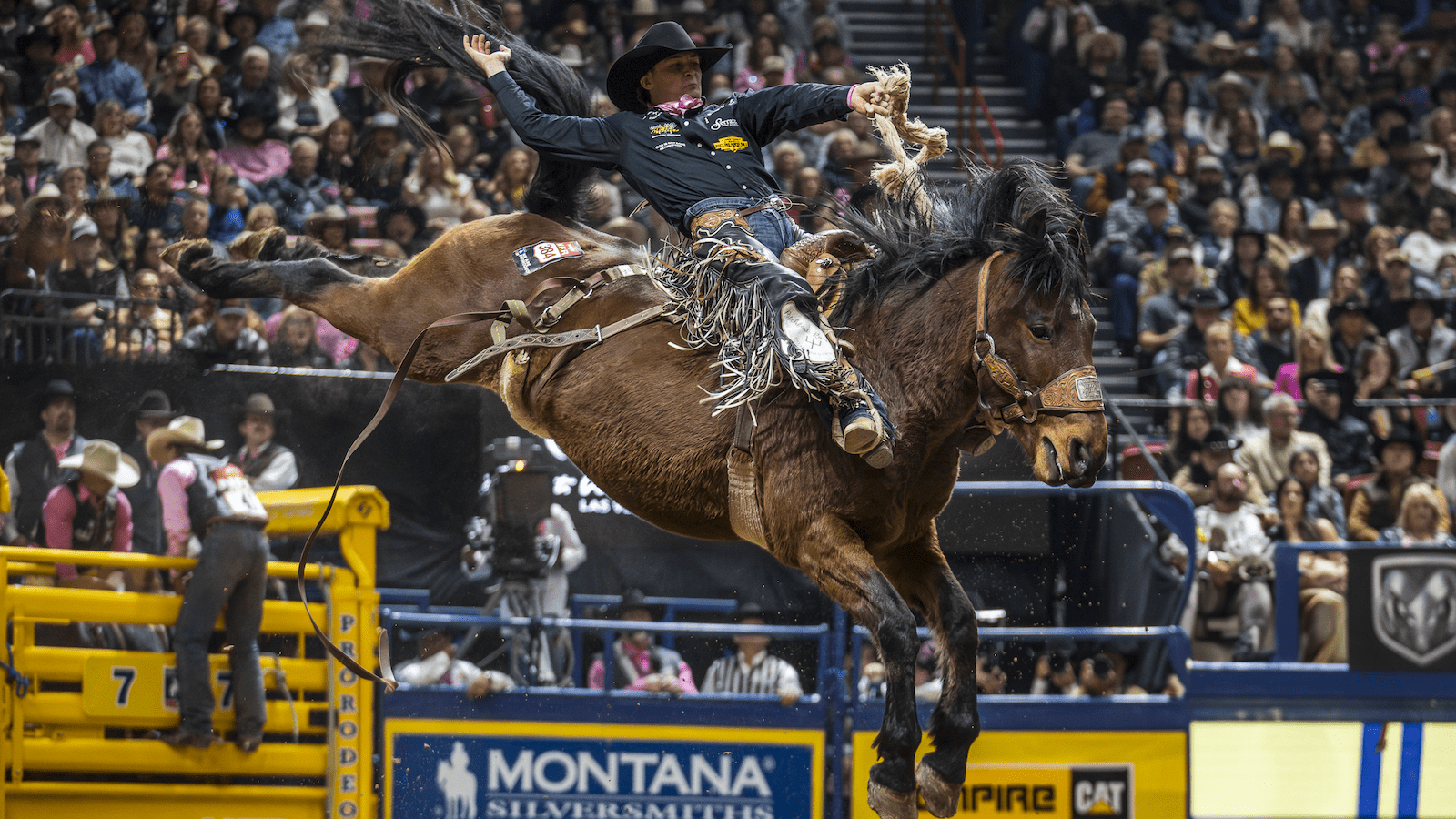 Brody Wells 2024 NFR saddle bronc rider