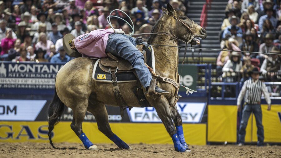 top 15 prca team roping heelers