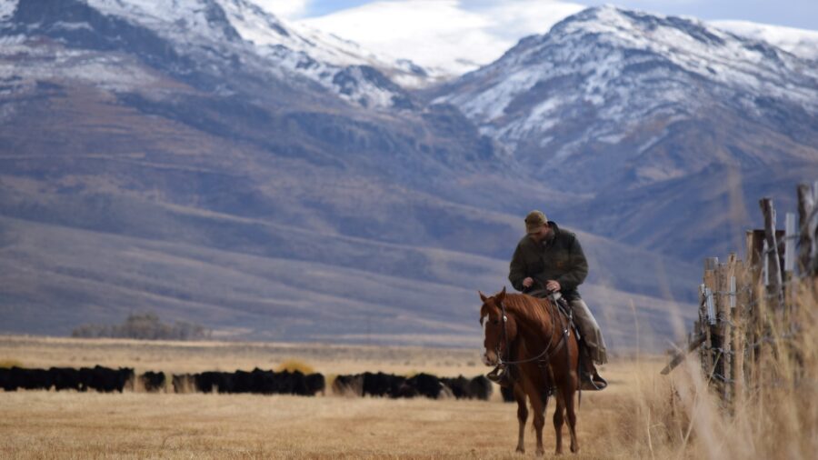 Fall on the ranch