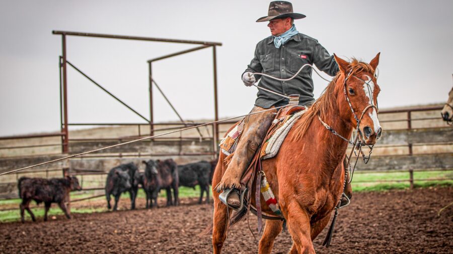 the new old timers value cowboy tradition and knowledge