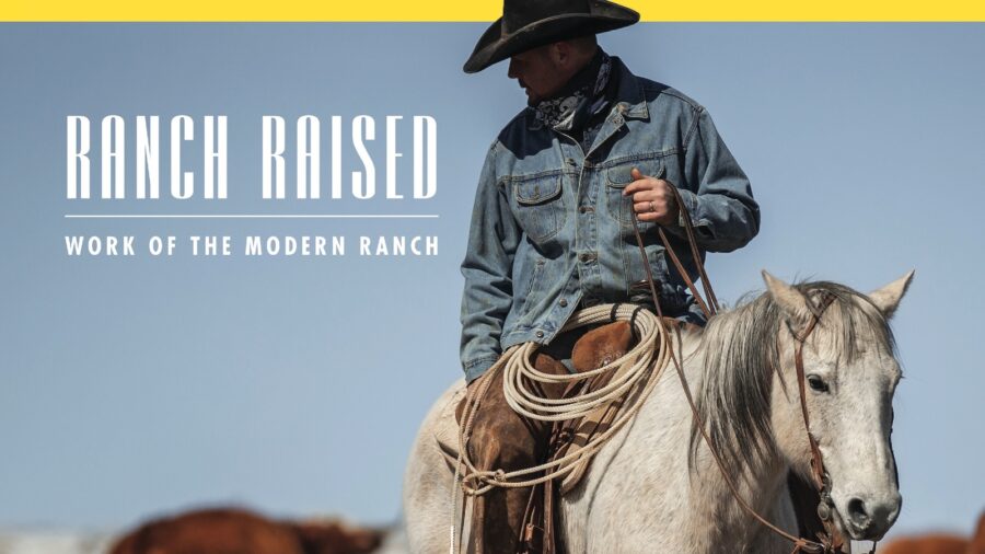 Clay Rodgers, manager of the historic Babbitt Ranches, rides through a calving pasture not far from Spider Web Camo, which serves as the ranch headquarters in northern Arizona. Photography by Kristen Schurr.