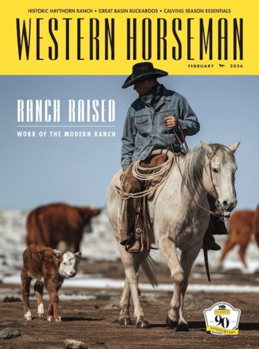 Clay Rodgers, manager of the historic Babbitt Ranches, rides through a calving pasture not far from Spider Web Camo, which serves as the ranch headquarters in northern Arizona. Photography by Kristen Schurr.