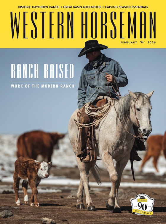 Clay Rodgers, manager of the historic Babbitt Ranches, rides through a calving pasture not far from Spider Web Camo, which serves as the ranch headquarters in northern Arizona. Photography by Kristen Schurr.