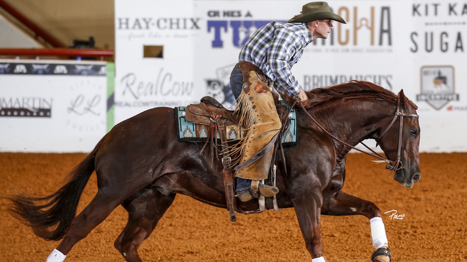Kelli Neubert's husband on the horse they own