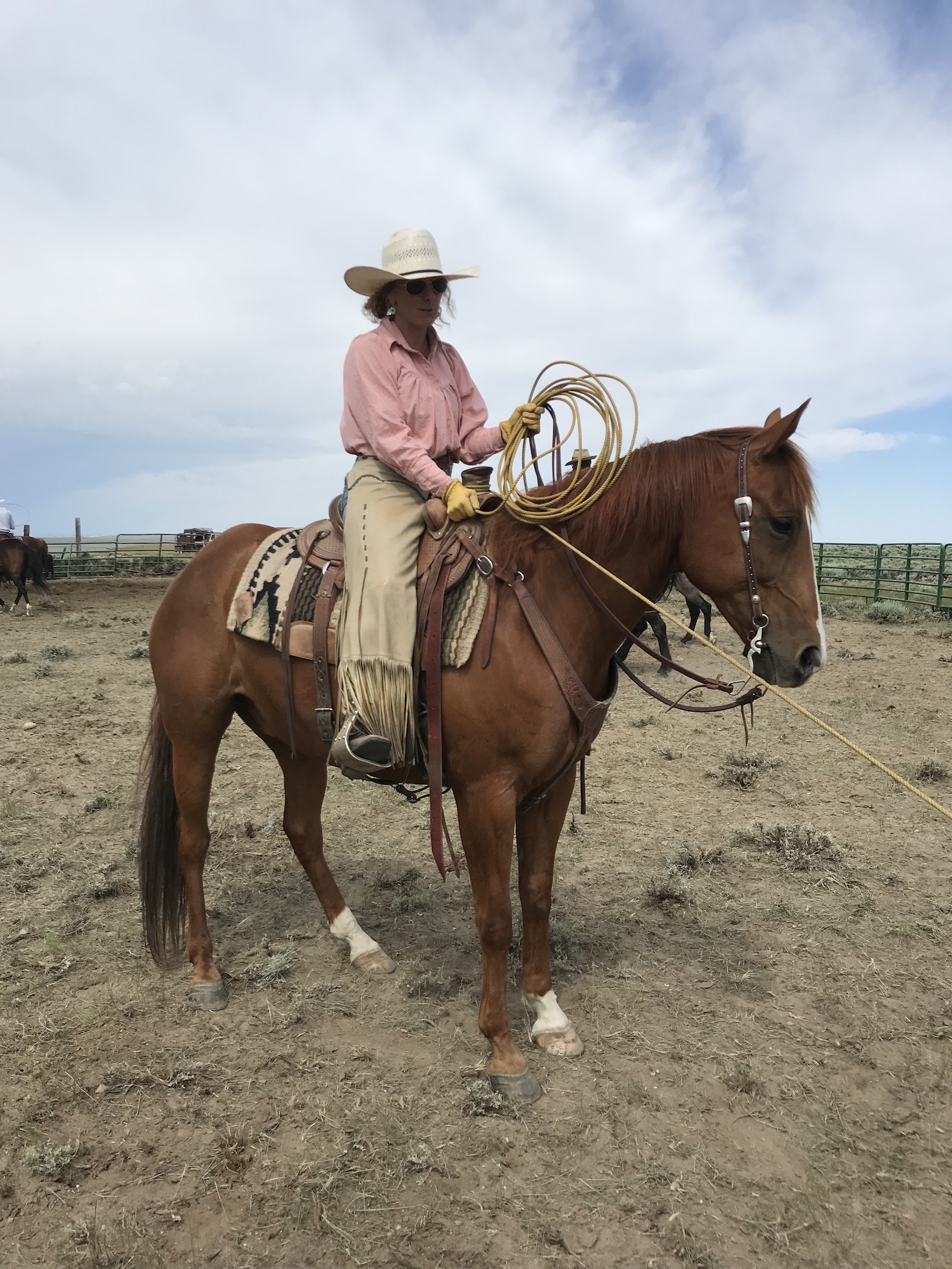 Caitlyn Taussig holding a calf while branding in Colorado. Photo Credit: Jacqueline Harvey