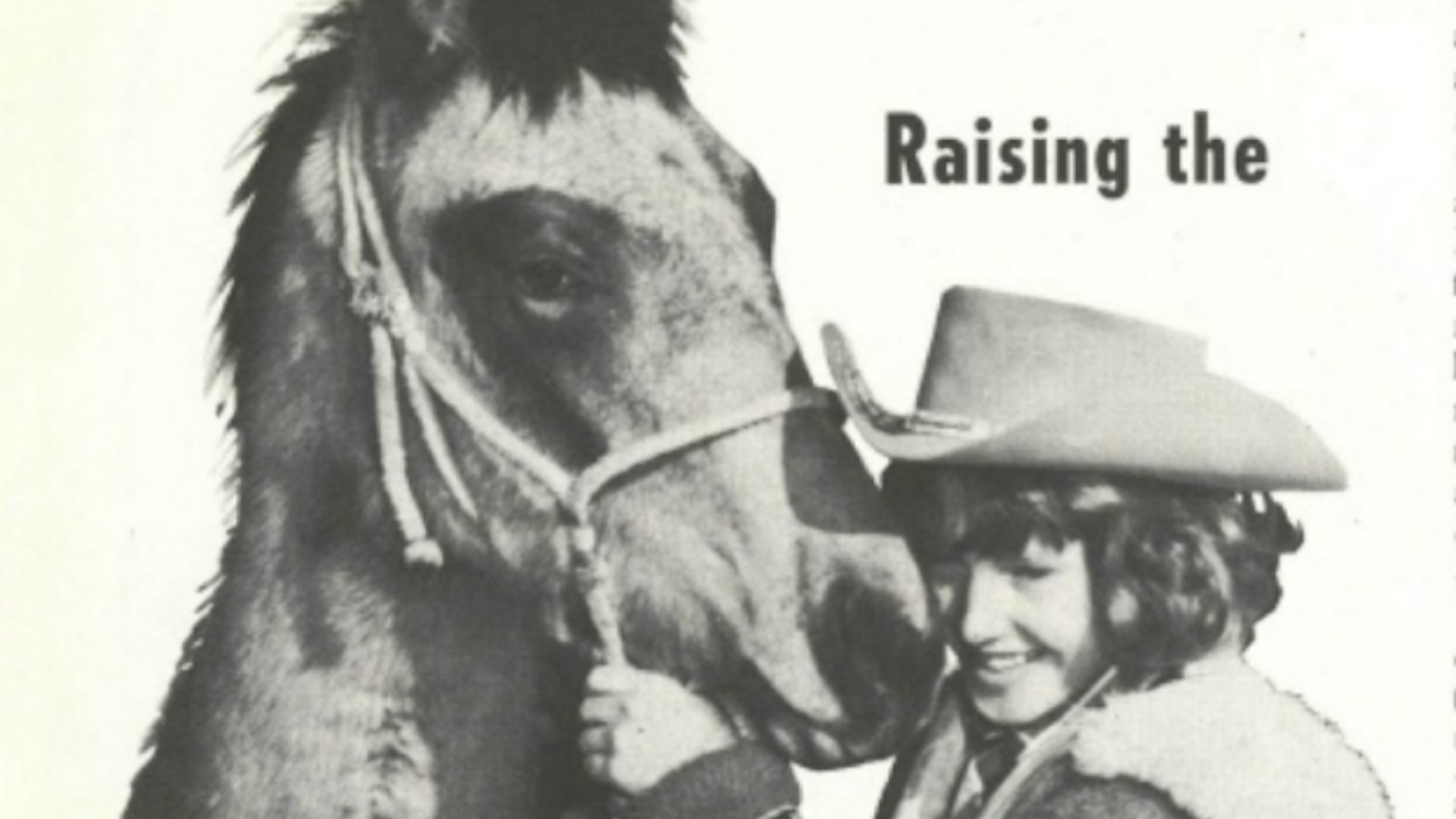 Raising the orphan foal