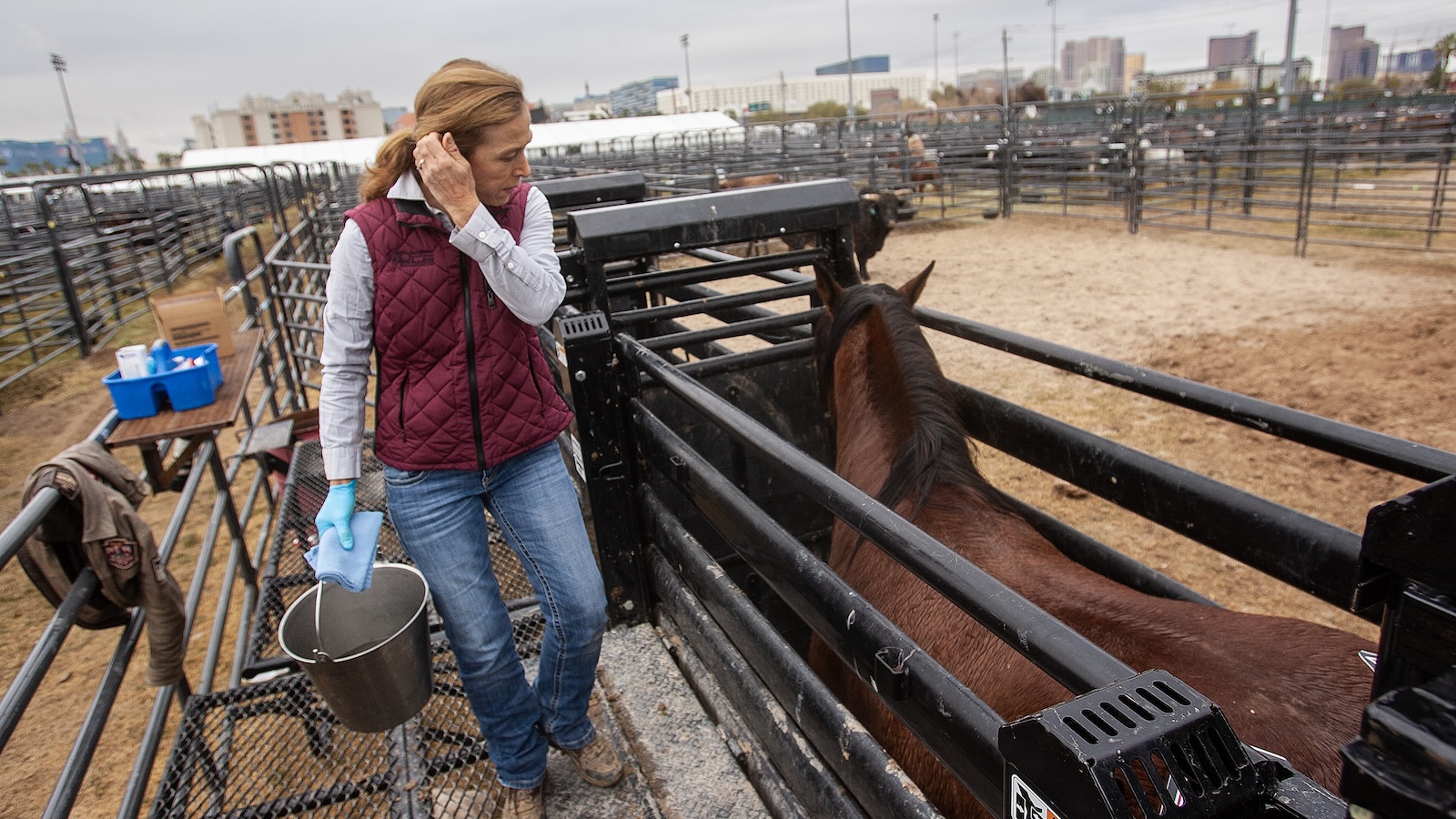 preventing the spread of Equine Herpesvirus