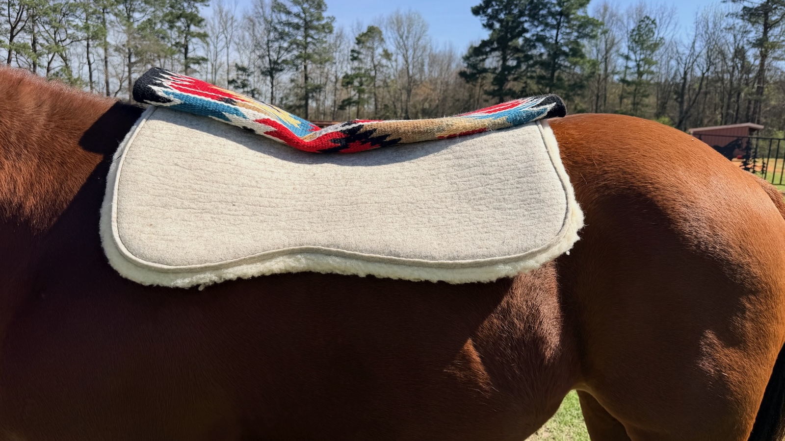 The Ultimate Show Pad