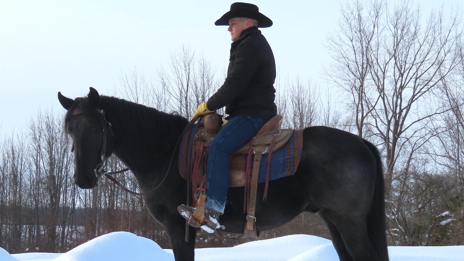 After mounting, I have the horse stand for at least 30 seconds before asking him to move.