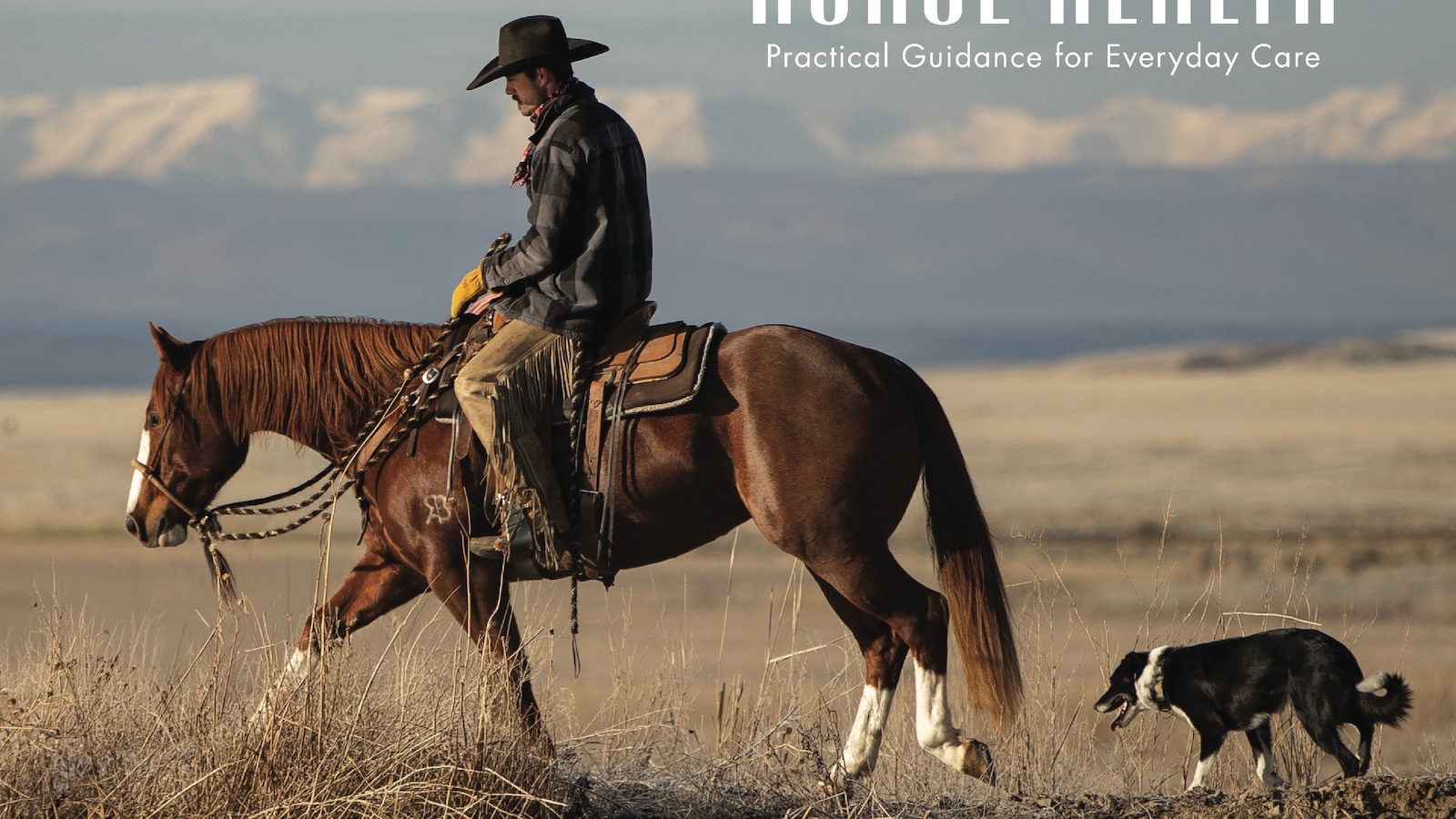 April 2026 cover. Nick Eiguren heads out to gather cattle on the Eiguren Ranch's high desert range near Jordan Valley, Oregon. Photograph by Emily Eiguren.
