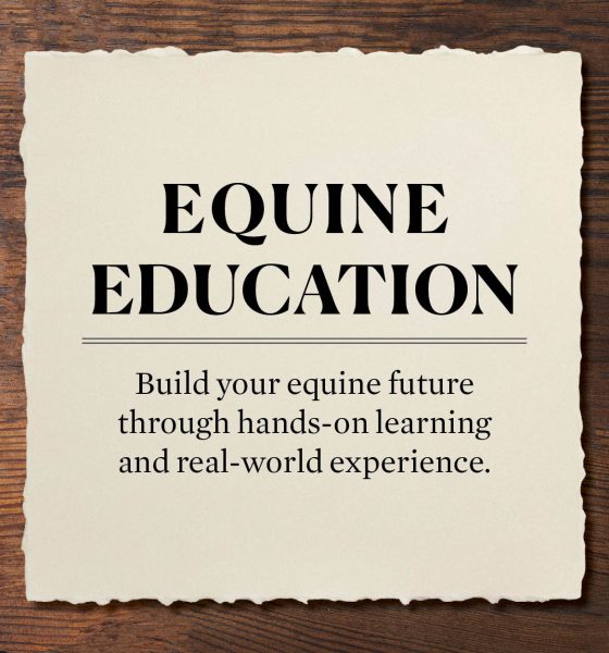 Equine Education