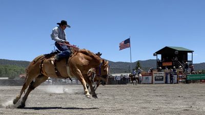 bucking horse at a rodeo
